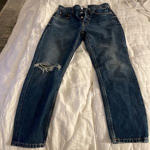 Everlane Cheeky Jean